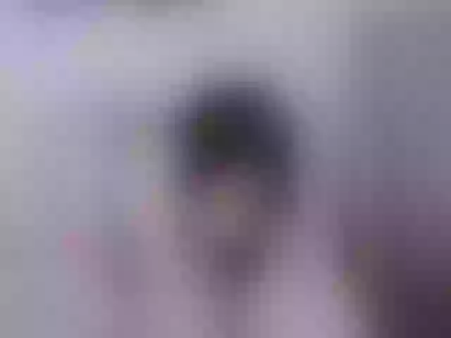 Live sex webcam photo for SeySo #263236085