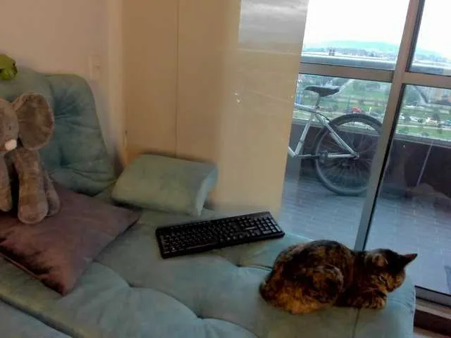 Live sex webcam photo for reiven-brown #259787018