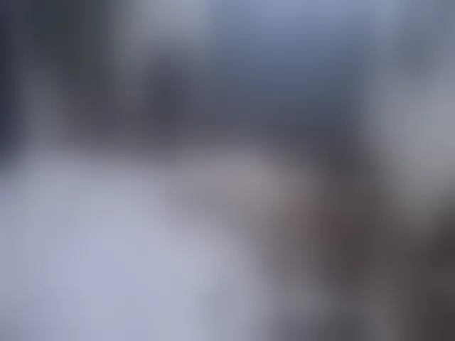 Live sex webcam photo for IsabellaRox #263881256