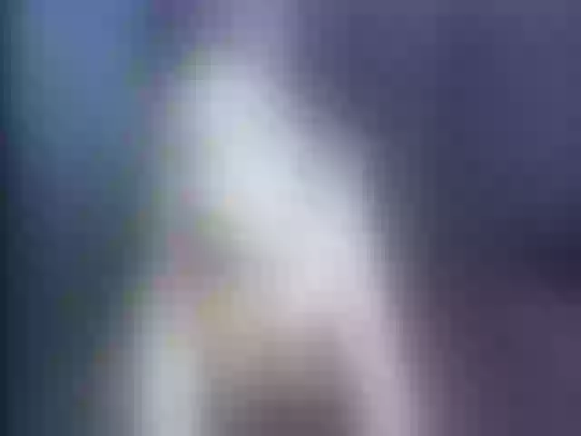 Live sex webcam photo for Ellaquality #253054200
