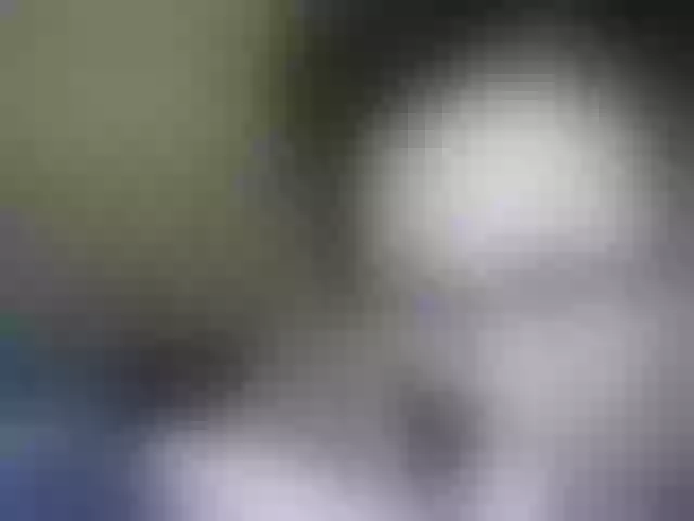 Live sex webcam photo for Elia-Asia #241223159