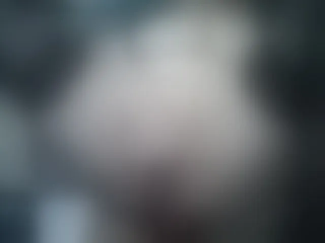 Live sex webcam photo for pussyboom11 #241086964