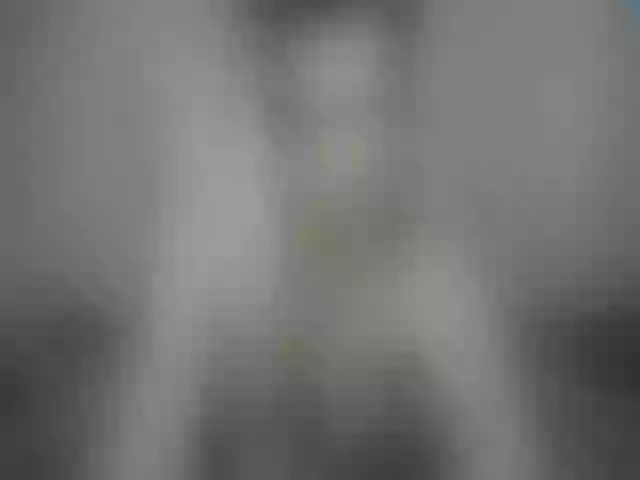 Live sex webcam photo for Alice_placs #264492636