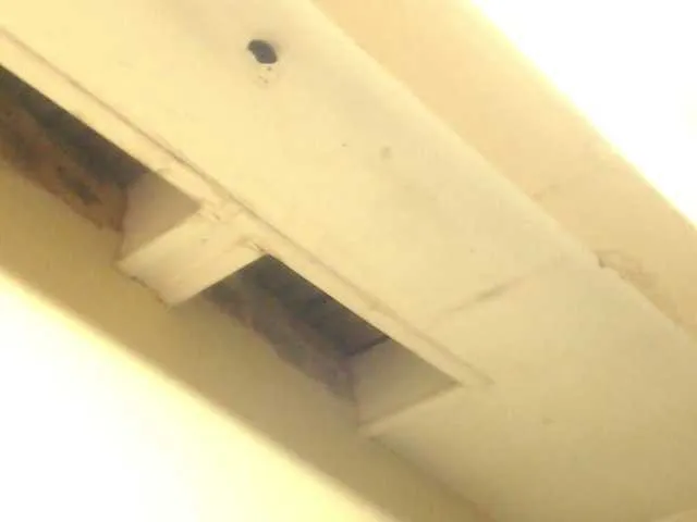 Live sex webcam photo for MilkySlender #245526988