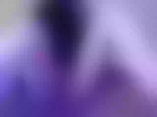 Live sex webcam photo for Villi-Wall #241206558