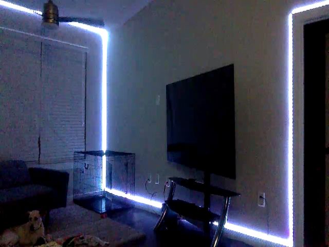 Live sex webcam photo for Sammy_gray #254432605