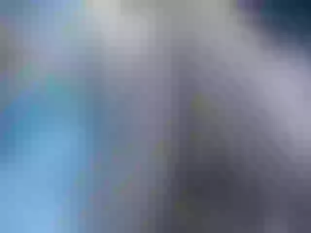 Live sex webcam photo for Mairerf #264548982