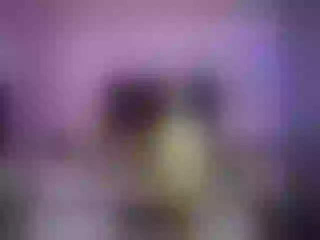 Live sex webcam photo for HardorDie #254166803