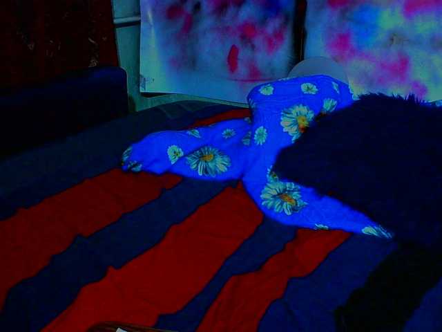 Live sex webcam photo for kolitoo #247086265