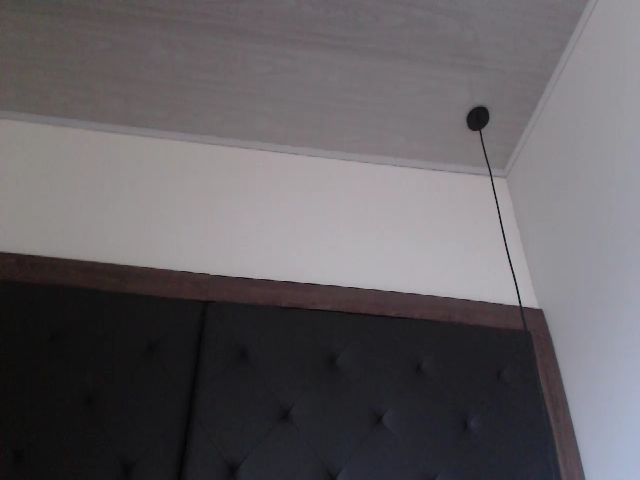 Live sex webcam photo for AnaSaenz #262272167