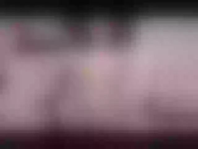 Live sex webcam photo for RoyalAlexisX #252367613