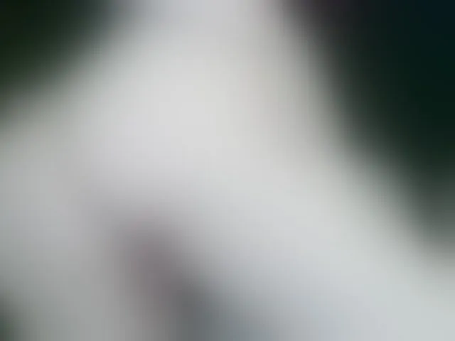 Live sex webcam photo for Spaarkless #254643189