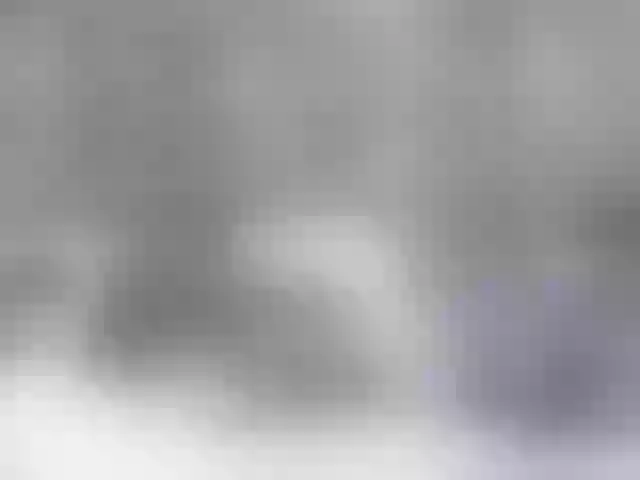 Live sex webcam photo for Siberia-Taiga #287988855
