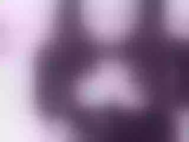 Live sex webcam photo for sanshun1 #240982131