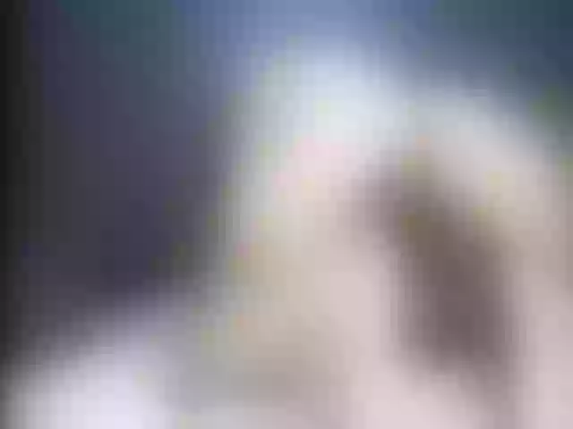 Live sex webcam photo for Ellaquality #255300612