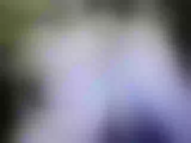 Live sex webcam photo for marusa0 #241278447