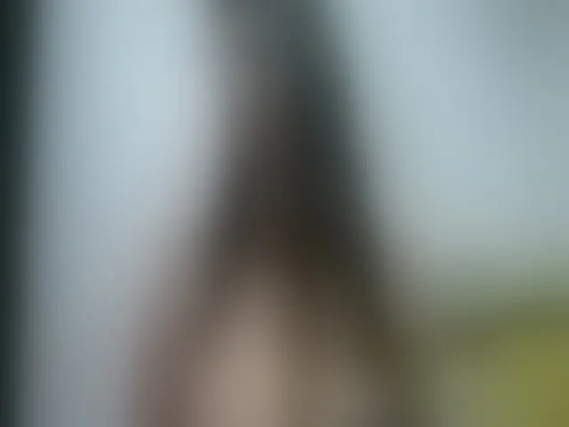 Live sex webcam photo for Alisson_brand #256883381