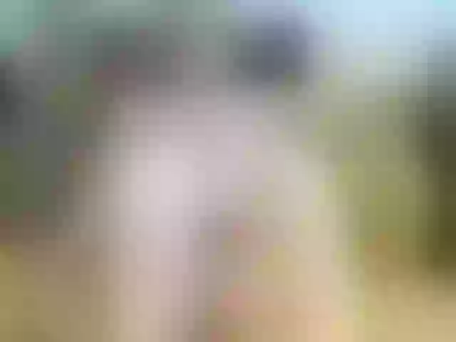 Live sex webcam photo for Luiziana111 #241574731
