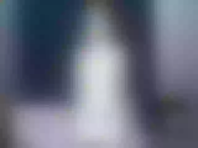 Live sex webcam photo for Ellaquality #258644842