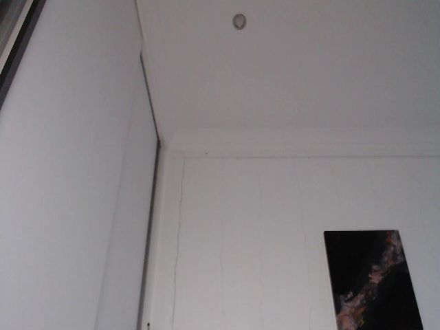 Live sex webcam photo for Nikkita23 #262264333