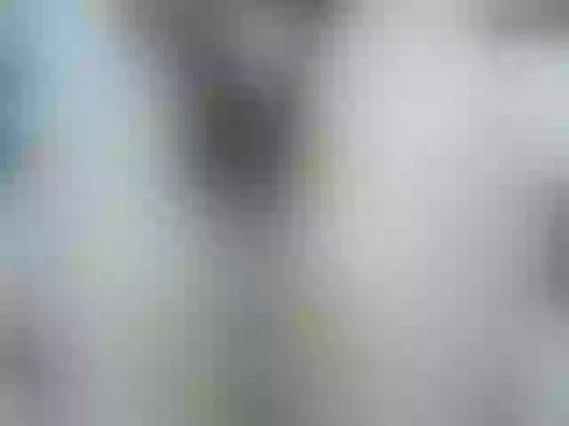Live sex webcam photo for Mssburbuja #254741974