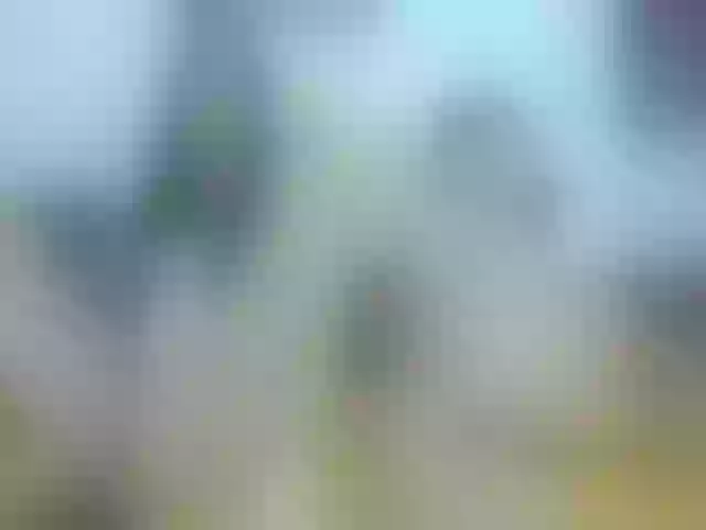 Live sex webcam photo for AletaOcean #264088878