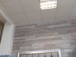 Live sex webcam photo for MissElisabeth #251696760