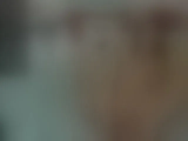 Live sex webcam photo for Misssexyvegas #253047058