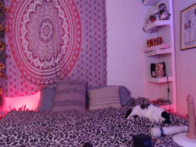 Live sex webcam photo for Missdankkitty #265454367