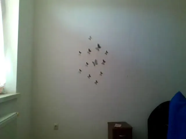 Live sex webcam photo for MisssSun #253733921