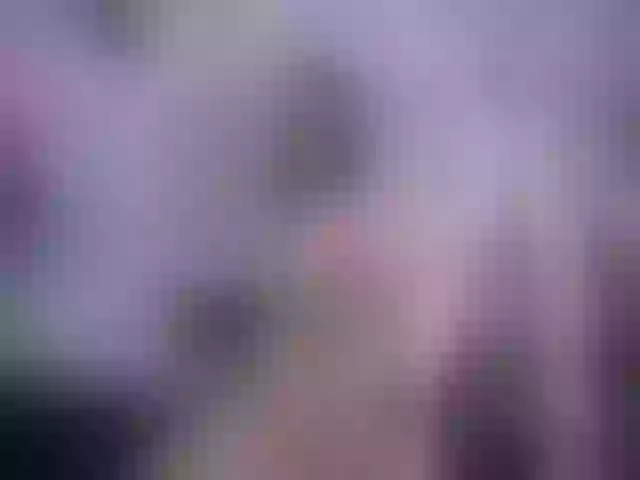 Live sex webcam photo for SexyAshley2x #253314815