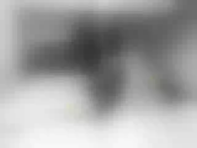Live sex webcam photo for Nijuuyonjikan #253704982