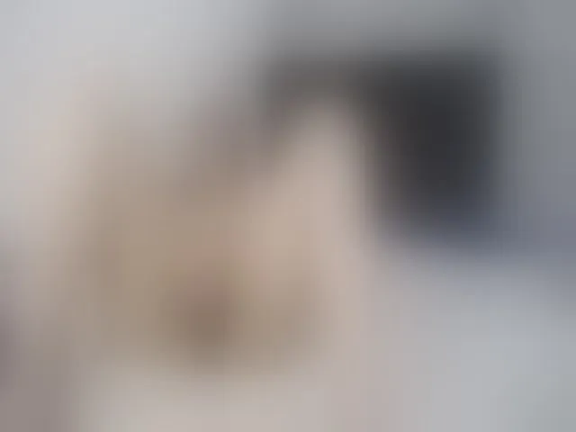 Live sex webcam photo for Girasolwalton #252552486
