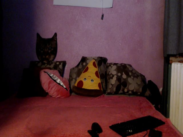 Live sex webcam photo for IamMiky #254938413