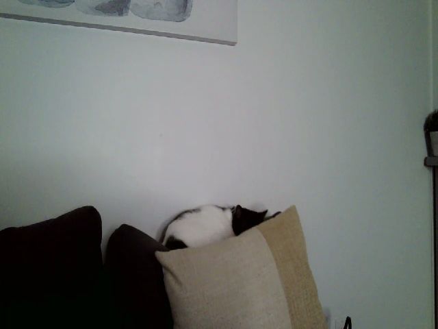 Live sex webcam photo for LexiiRice #252995887