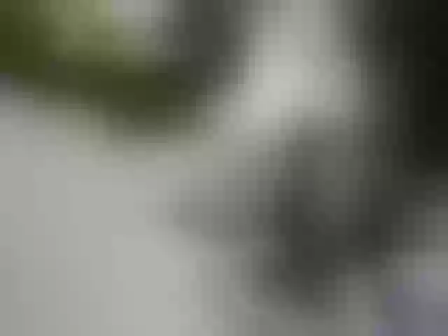 Live sex webcam photo for sharonnikol #256548795