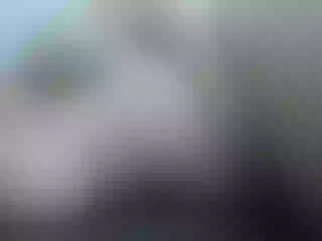 Live sex webcam photo for Merida_blue #254446984