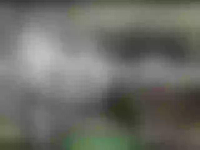 Live sex webcam photo for alisablond #248045008