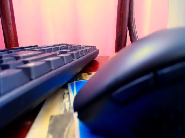 Live sex webcam photo for Lady_Betsy #255302029