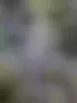 Live sex webcam photo for sara0952 #244097554