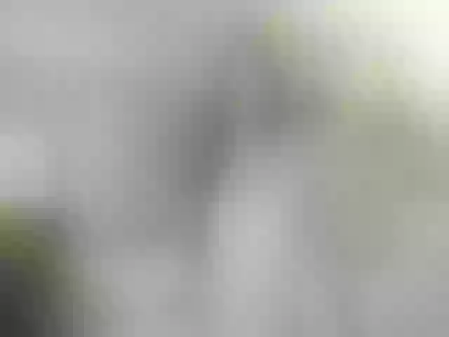 Live sex webcam photo for SquisherGirl #257980662