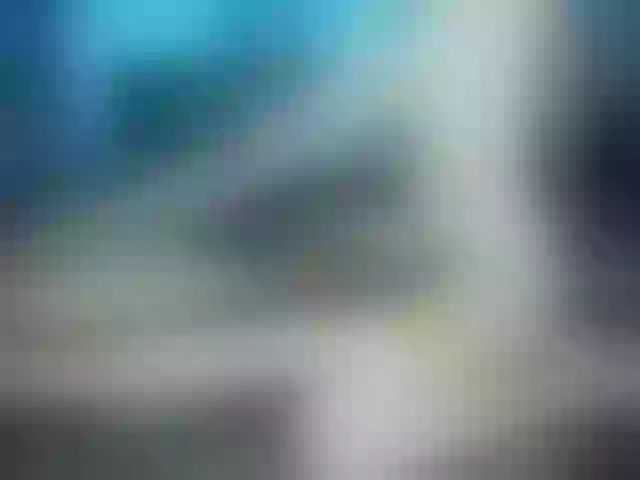 Live sex webcam photo for timon1201 #241302169