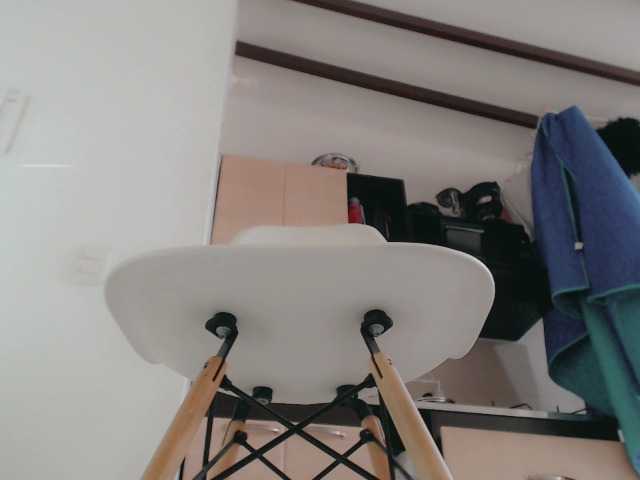 Live sex webcam photo for amaranthacol #241159755