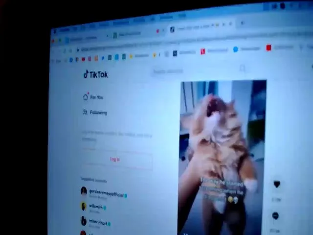 Live sex webcam photo for RascalTV #259760724