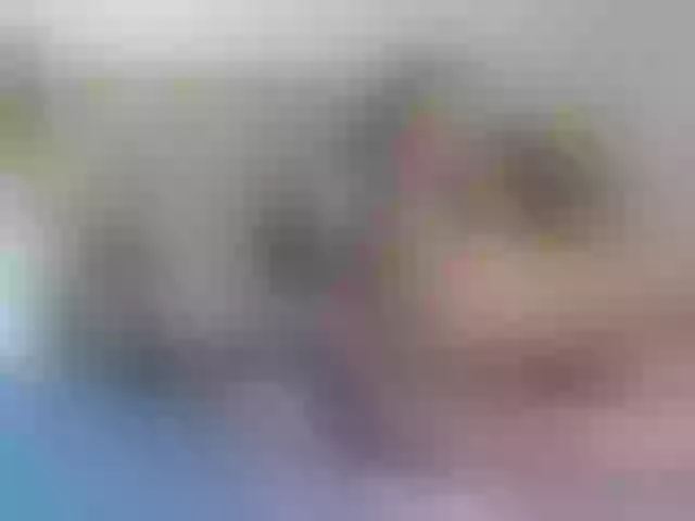 Live sex webcam photo for cheaptipmenu #241050872