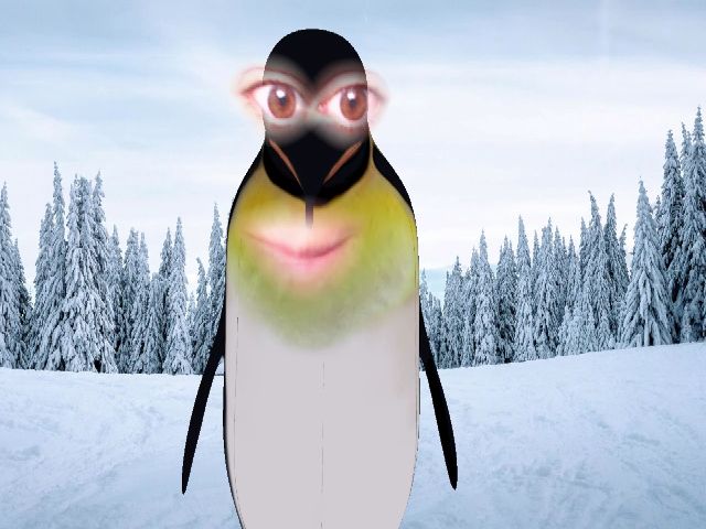 Live sex webcam photo for wetkittycum #252669825