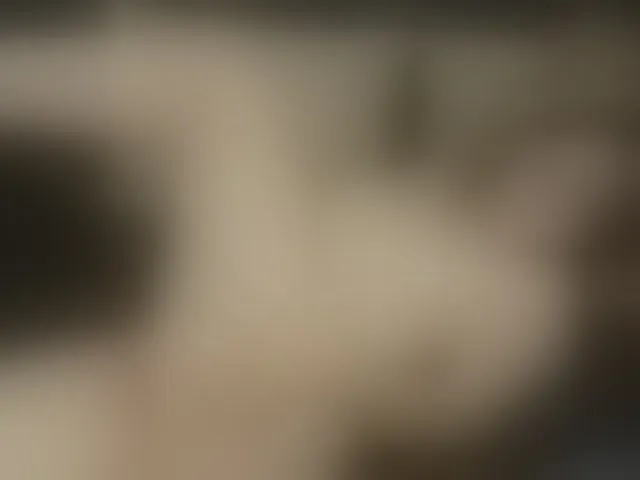 Live sex webcam photo for AliciaKennet #247828619