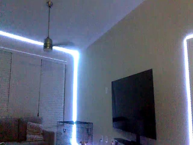 Live sex webcam photo for Sammy_gray #256656446