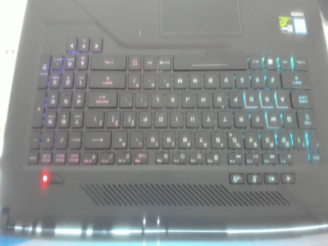 Live sex webcam photo for hottieella #263161417