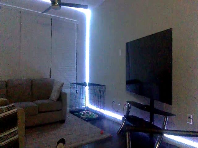 Live sex webcam photo for Sammy_gray #263008682